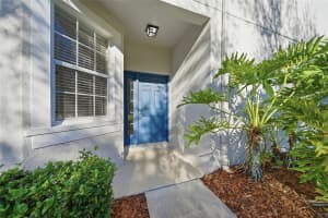 19251 STONE HEDGE DRIVE, TAMPA, FL 33647 - MLS#MFRTB8472397