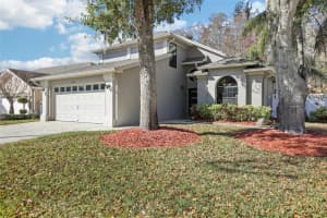 8951 EASTMAN DRIVE, TAMPA, FL 33626 - MLS#MFRTB8472399