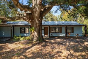 1715 W Overpar Dr, TAMPA