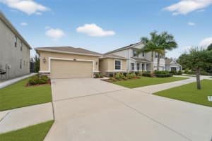 12507 CANDLEBERRY CIRCLE, TAMPA, FL 33635 - MLS#MFRTB8472448
