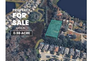 BLOUNT RD, LUTZ, FL 33558 Sold 03/11/26
