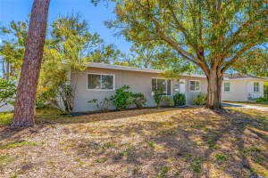 218 80TH AVENUE, ST PETERSBURG, FL 33702 - MLS#MFRTB8472479