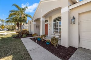 30404 COLTHURST STREET, WESLEY CHAPEL, FL 33545 - MLS#MFRTB8472495