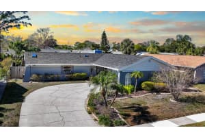 7506 Armand Cir, TAMPA