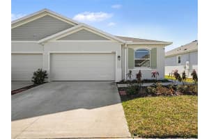 32310 LEXINGTON STREET, WESLEY CHAPEL, FL 33543 - MLS#MFRTB8472536