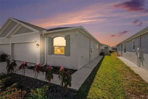 32310 LEXINGTON STREET, WESLEY CHAPEL, FL 33543 - MLS#MFRTB8472536