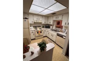 1415 DOOLITTLE LANE, DUNEDIN, FL 34698 - MLS#MFRTB8472572