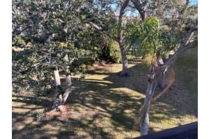 1415 DOOLITTLE LANE, DUNEDIN, FL 34698 - MLS#MFRTB8472572