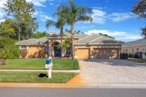 5802 Peach Heather Trl, VALRICO