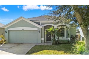 10323 GOLDENBROOK WAY, TAMPA, FL 33647 - MLS#MFRTB8472590