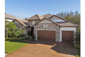 29118 Picana Ln, WESLEY CHAPEL