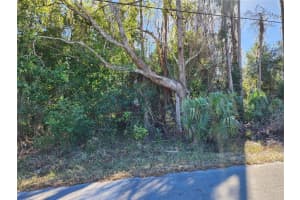 12716 POPPY STREET, NEW PORT RICHEY, FL 34654 - MLS#MFRTB8472686