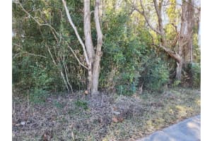 12716 POPPY STREET, NEW PORT RICHEY, FL 34654 - MLS#MFRTB8472686