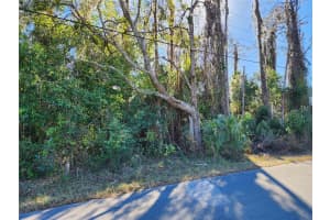 12716 POPPY STREET, NEW PORT RICHEY, FL 34654 - MLS#MFRTB8472686
