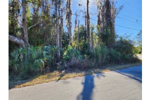 12716 POPPY STREET, NEW PORT RICHEY, FL 34654 - MLS#MFRTB8472686