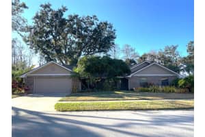 3408 Valley Ranch Dr, LUTZ