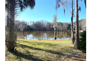 3408 VALLEY RANCH DRIVE, LUTZ, FL 33548 - MLS#MFRTB8472690