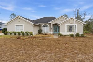 13096 NUSSER AVENUE, WEEKI WACHEE, FL 34614 - MLS#MFRTB8472693