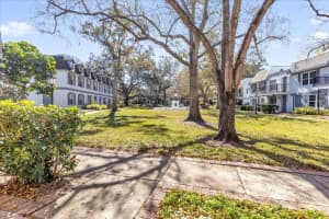 4405 VIEUX CARRE CIRCLE, TAMPA, FL 33613 - MLS#MFRTB8472703