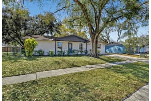 3706 Mistwood Dr, TAMPA