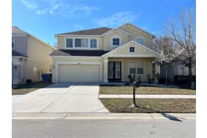 17800 AYRSHIRE BOULEVARD, LAND O LAKES, FL 34638 - MLS#MFRTB8472752