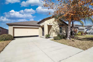 10206 BRIGHT CRYSTAL AVENUE, RIVERVIEW, FL 33578 - MLS#MFRTB8472760