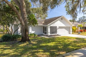 3569 Oak Lake Dr, PALM HARBOR
