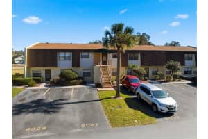 6033 TOPHER TRAIL, MULBERRY, FL 33860 - MLS#MFRTB8472838
