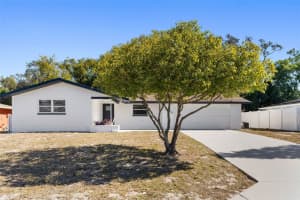 10536 LABURNUM DRIVE, PORT RICHEY, FL 34668 - MLS#MFRTB8472841
