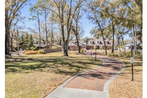 701 DUQUE ROAD, LUTZ, FL 33549 - MLS#MFRTB8472871