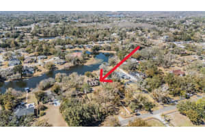 701 DUQUE ROAD, LUTZ, FL 33549 - MLS#MFRTB8472871
