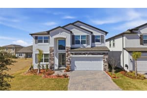 2909 Ivory Bluff Ct, ZEPHYRHILLS