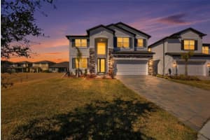 2909 IVORY BLUFF COURT, ZEPHYRHILLS, FL 33540 - MLS#MFRTB8472879