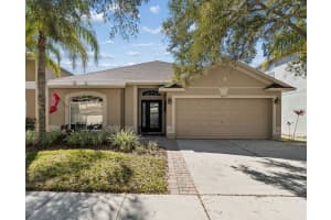 18922 FISHERMANS BEND DRIVE, LUTZ, FL 33558 - MLS#MFRTB8472910