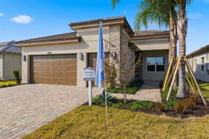 32623 NEROLI STREET, WESLEY CHAPEL, FL 33543 - MLS#MFRTB8472937