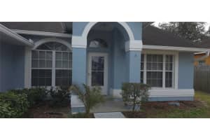 11541 WELLMAN DRIVE, RIVERVIEW, FL 33578 - MLS#MFRTB8472943