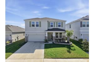 164 MANGROVE MANOR DRIVE, APOLLO BEACH, FL 33572 - MLS#MFRTB8472946