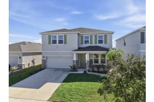 164 MANGROVE MANOR DRIVE, APOLLO BEACH, FL 33572 - MLS#MFRTB8472946