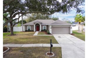14833 REDCLIFF DRIVE, TAMPA, FL 33625 - MLS#MFRTB8472950
