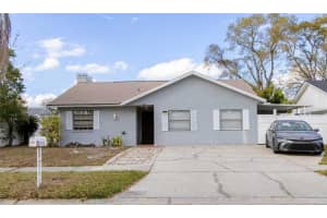 10922 TAILFEATHER COURT, TAMPA, FL 33625 - MLS#MFRTB8472961