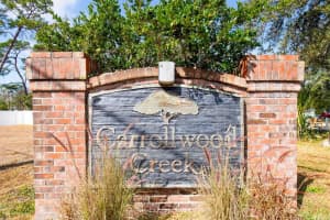 13102 CARROLLWOOD CREEK DRIVE, TAMPA, FL 33624 - MLS#MFRTB8472980