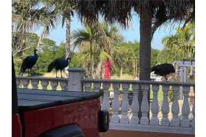 9017 BAYWOOD PARK DRIVE, SEMINOLE, FL 33777 - MLS#MFRTB8472996