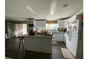 31244 TYNDALL ROAD, ZEPHYRHILLS, FL 33545 - MLS#MFRTB8473010