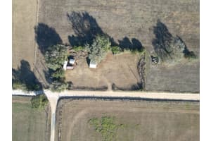 10942 SINGLETARY ROAD, DADE CITY, FL 33525 - MLS#MFRTB8473021