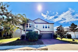 25118 LAMBRUSCO LOOP, LUTZ, FL 33559 - MLS#MFRTB8473036