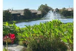 2567 GLORIOSA DRIVE, PALM HARBOR, FL 34684 - MLS#MFRTB8473040