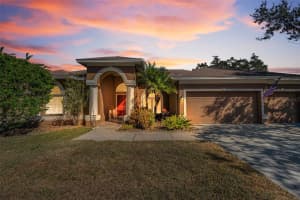 4305 HARBOR LAKE DRIVE, LUTZ, FL 33558 - MLS#MFRTB8473052