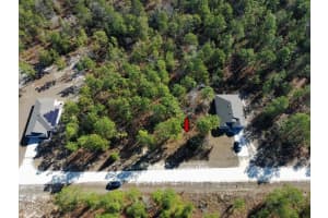 15252 COOT ROAD, BROOKSVILLE, FL 34614 - MLS#MFRTB8473085