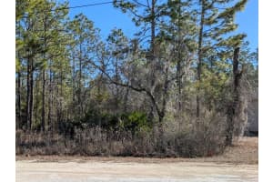 15252 COOT ROAD, BROOKSVILLE, FL 34614 - MLS#MFRTB8473085