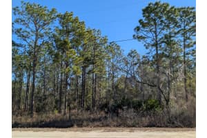 15252 COOT ROAD, BROOKSVILLE, FL 34614 - MLS#MFRTB8473085